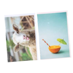 Blank Greeting Card & Envelope, for any occassion